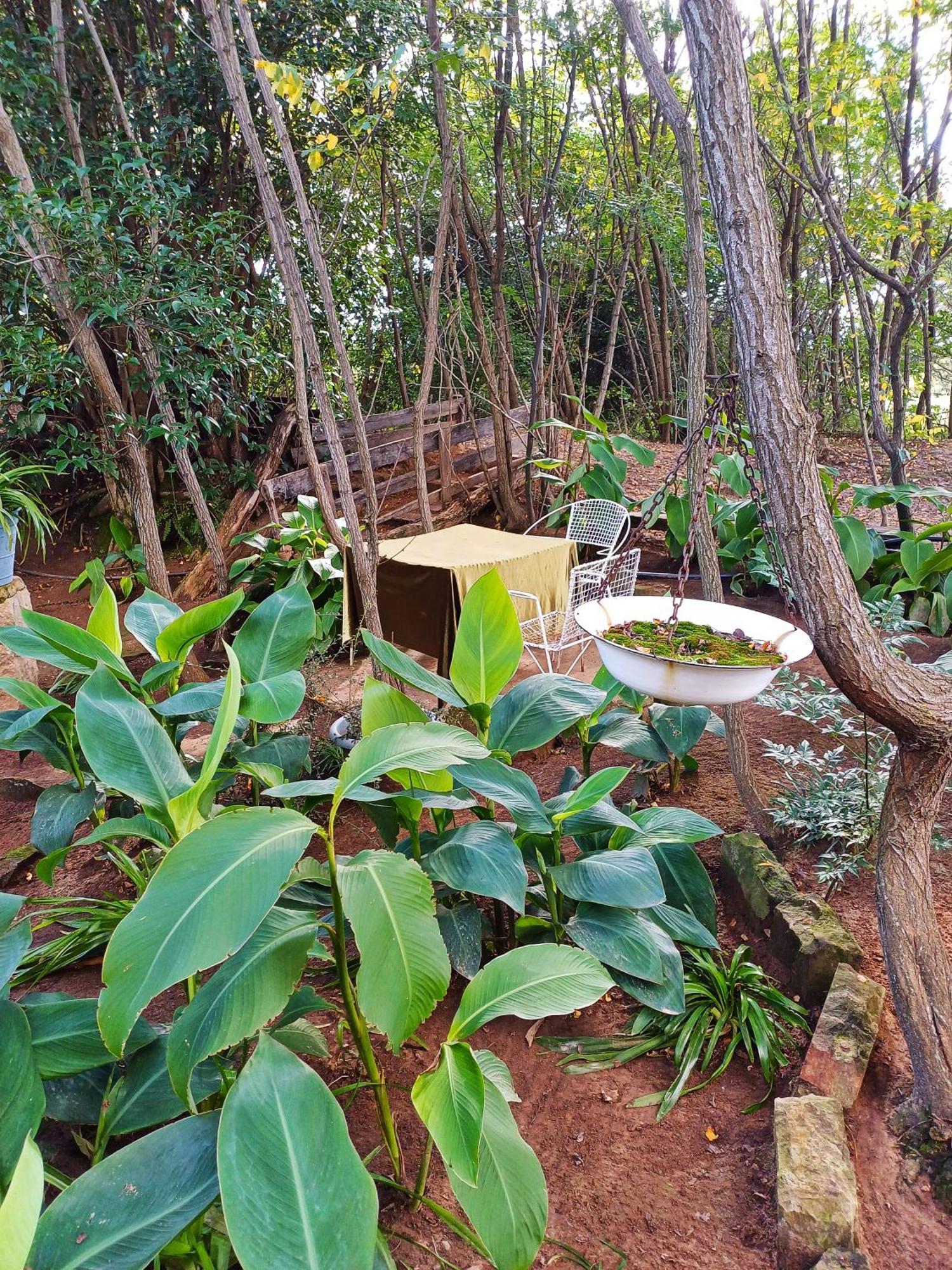 Farm stay Affi Lande Boetiek Guestfarm Fouriesburg